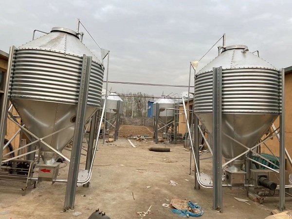 料塔廠家向大家講解豬群的應(yīng)激反應(yīng)！