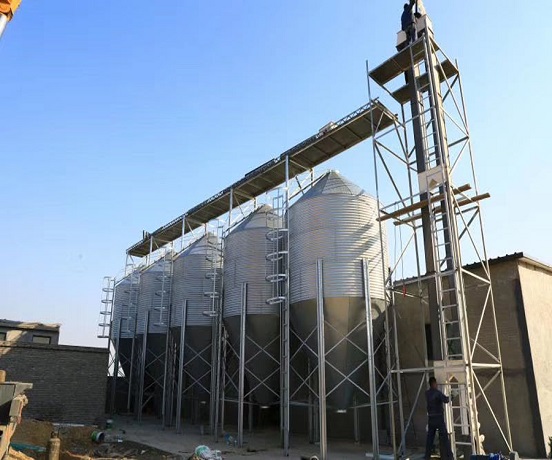 料塔為畜牧業(yè)養(yǎng)殖場(chǎng)帶來(lái)了新的育種方向